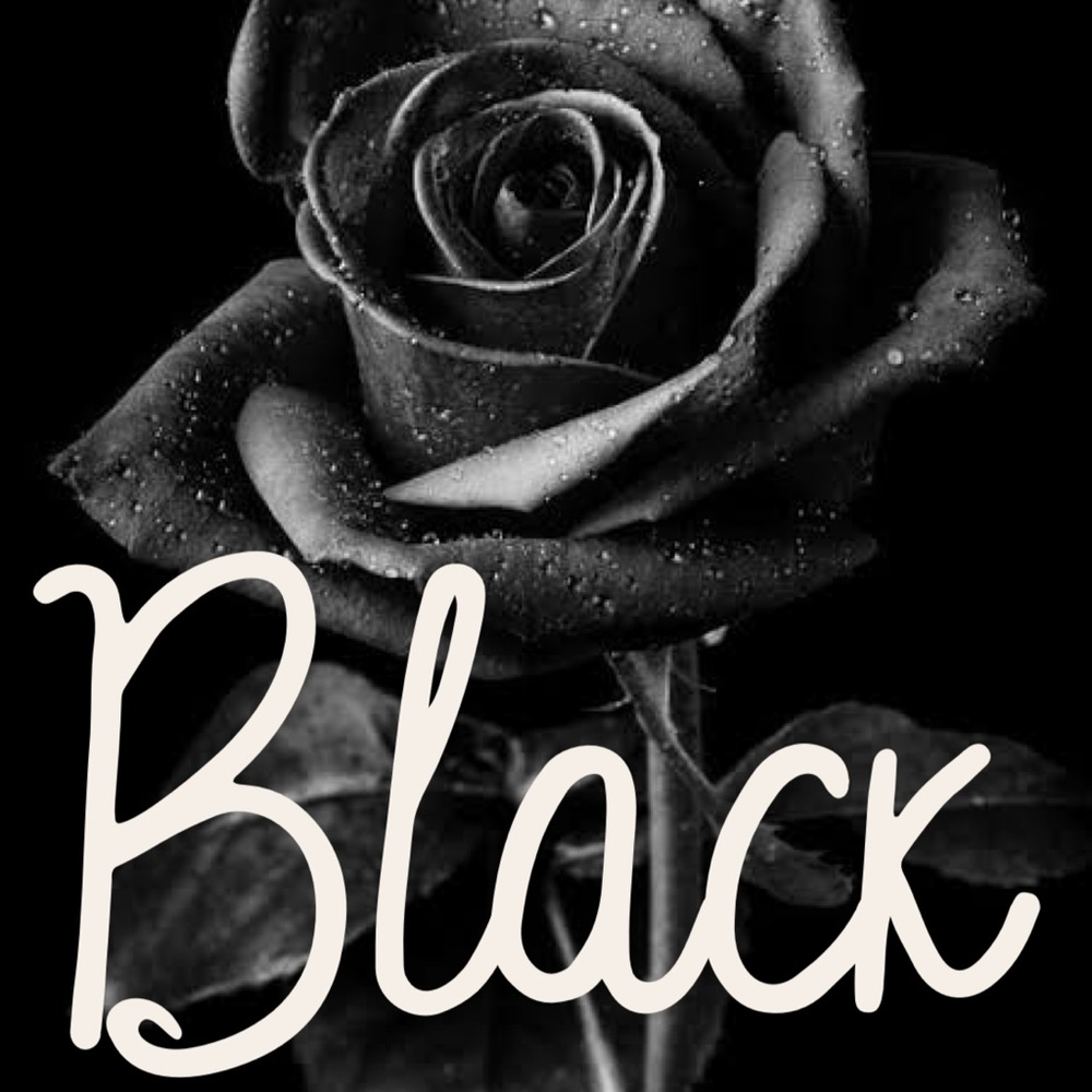 BLACK - Picture 1 of 1